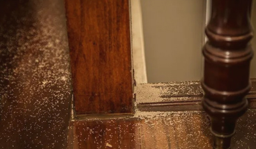 service-banner1