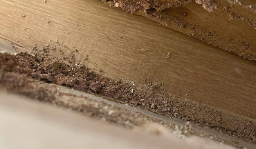 service-banner1